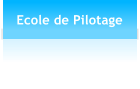 Ecole de Pilotage
